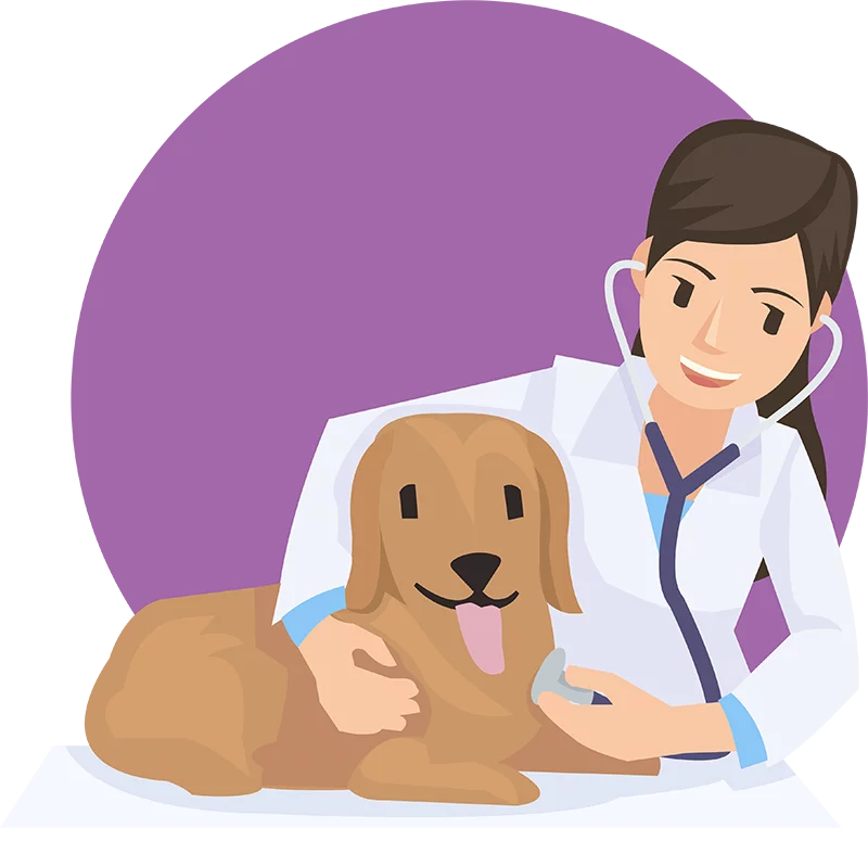 petcare